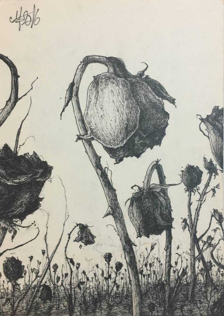 770x1084 Saatchi Art Dead Roses Drawing By George Muscalu