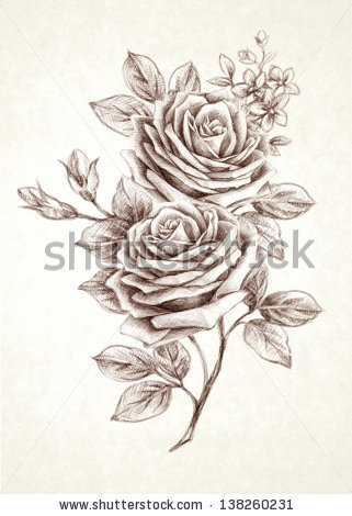 321x470 Sketch A Rose Bouquet In Simple Background By Tang, Via