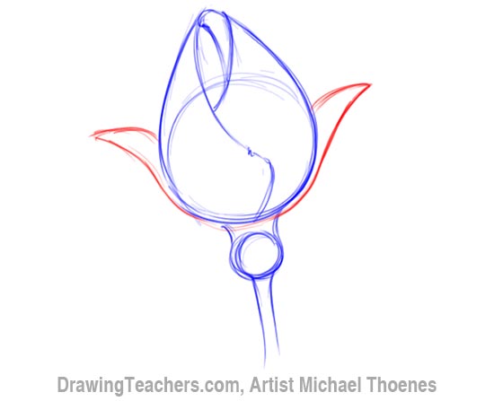 550x447 How To Draw A Rosebud