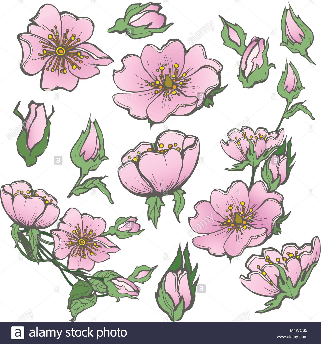 1295x1390 Red Rose Buds Stock Vector Images
