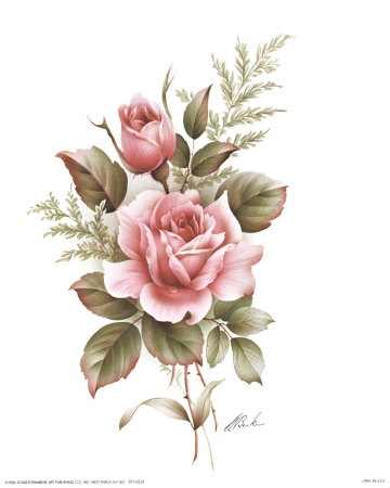 360x450 Rose Pencil Drawings, Rose Drawings, Drawing Of A Rose