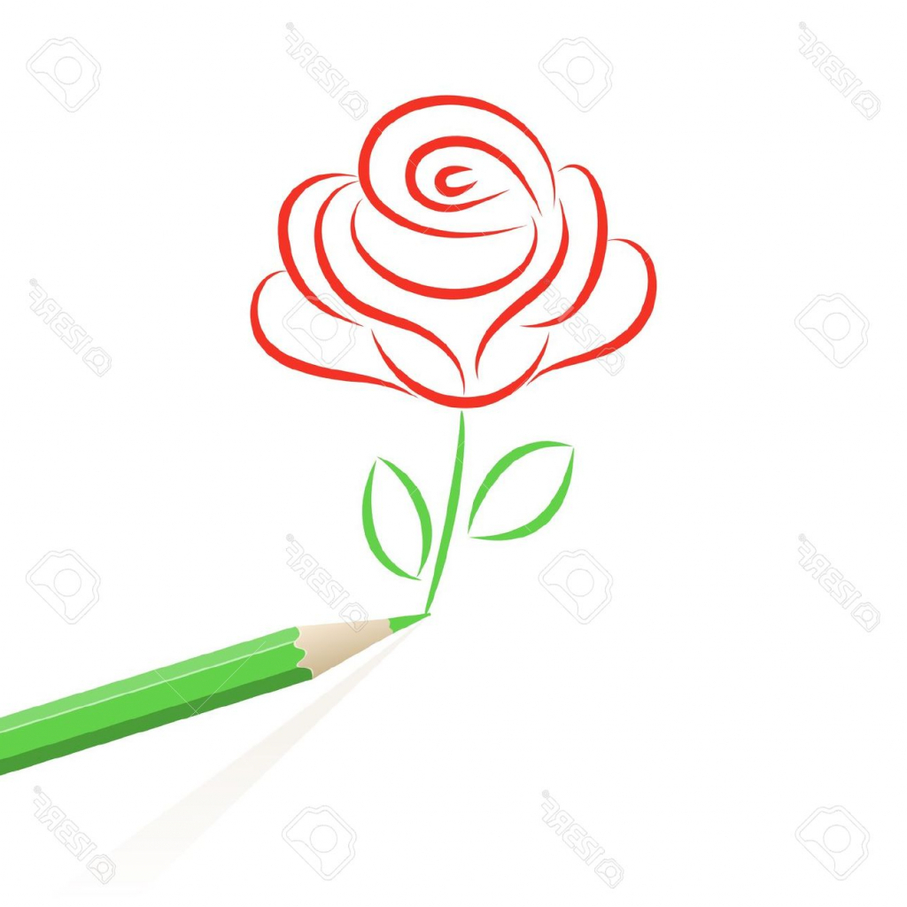 1024x1024 Cartoon Rose Drawing Rose Cartoon Drawing A Cartoon Rose