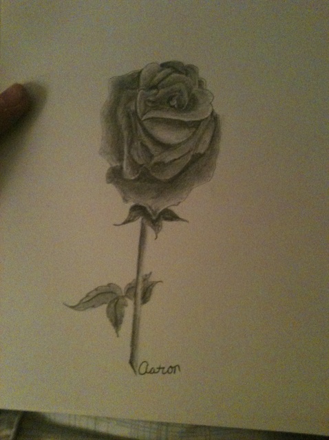 478x640 How To Draw A Rose (Can Use Pencil Or Charcoal)
