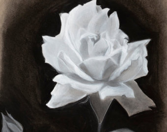 340x270 Rose Charcoal Drawing 9x12 Fine Art Print