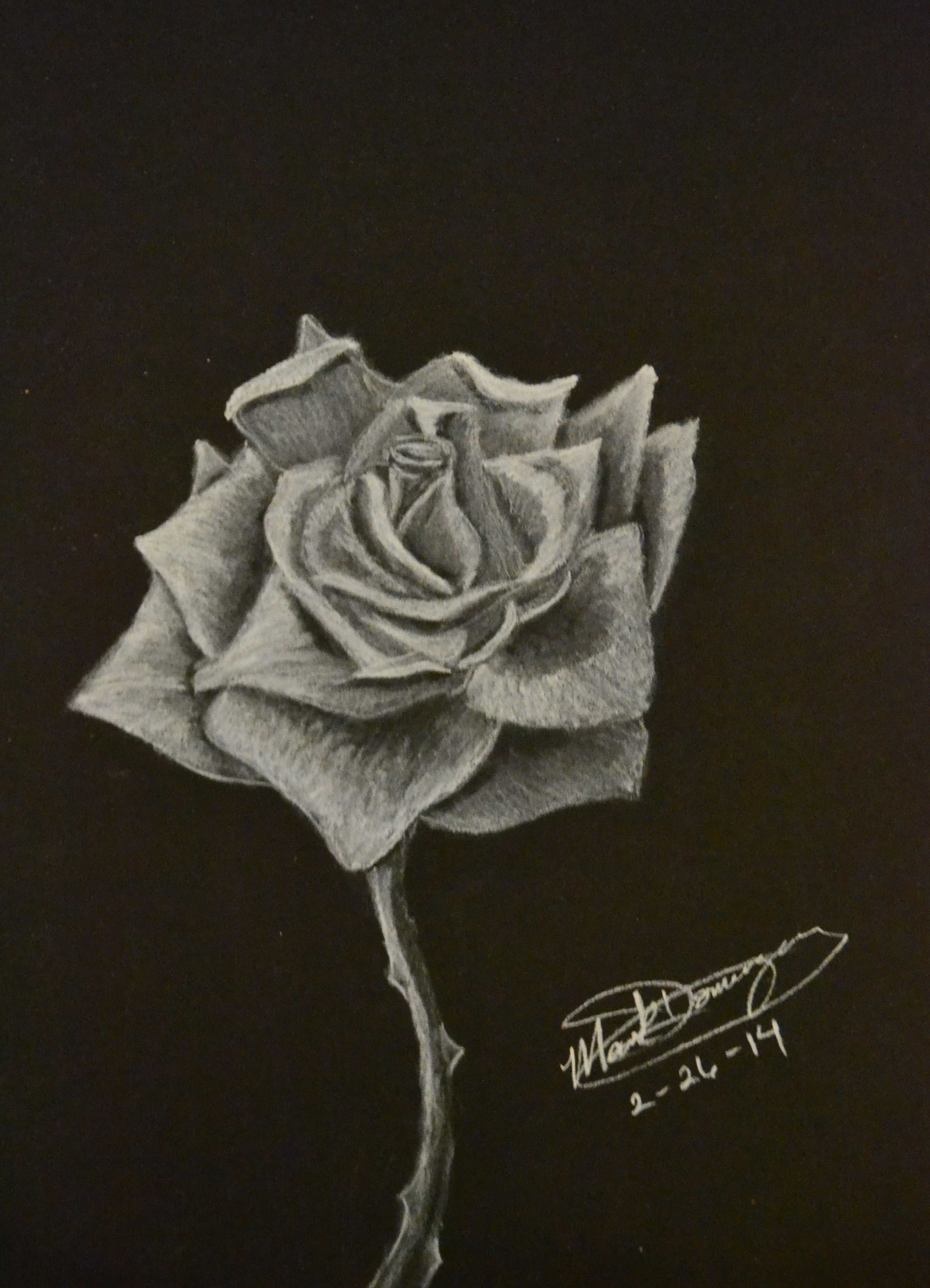 2847x3944 The White Rose 9x12 White Charcoal Drawing Pencil Art