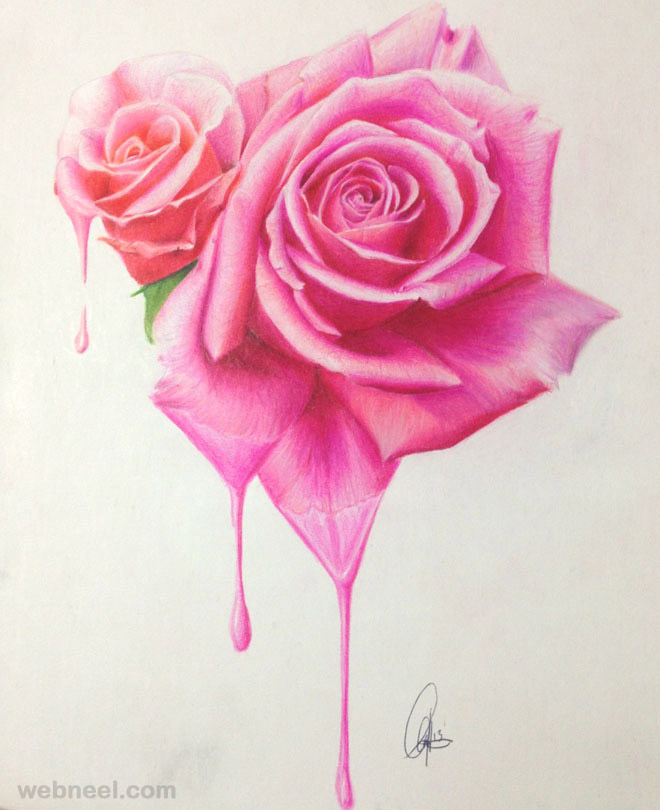 660x810 40 Beautiful Flower Drawings And Realistic Color Pencil Drawings