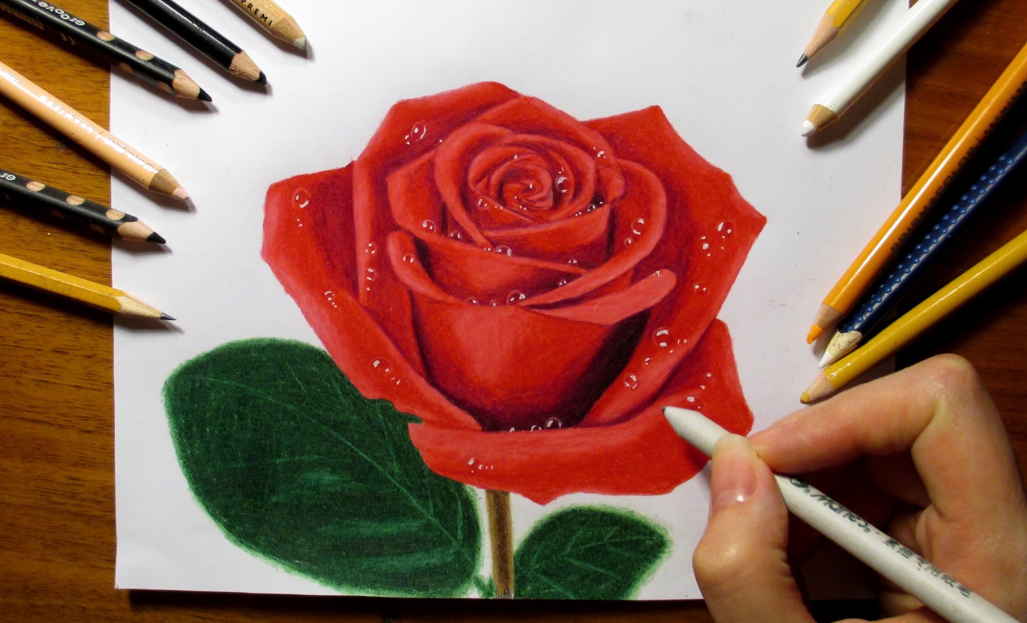 2000x1214 Drawing A Rose With Colored Pencils