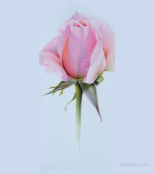 533x603 Rose Color Pencil Drawing 7
