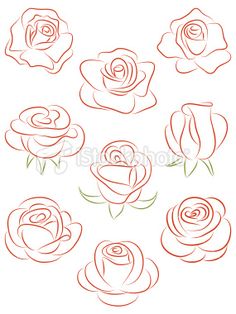 236x314 Set Of Flowers. Vector Illustration. Drawing Flowers, Drawings