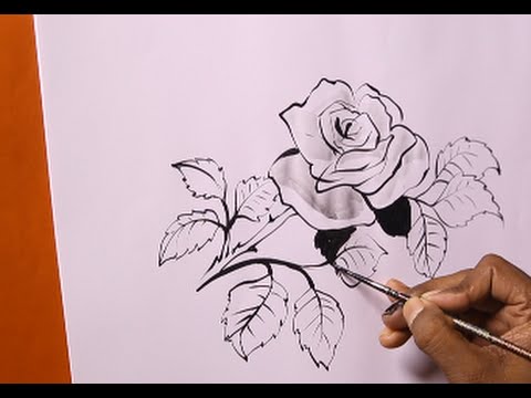 480x360 How To Draw Roses