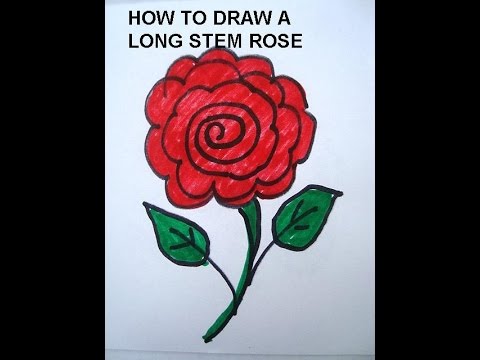 480x360 Learn To Draw For Kids, Draw A Long Stem Rose. Simple Drawing