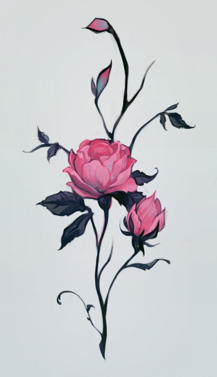 700x1216 Pictures Of Roses In Drawings Best Rose Drawings Ideas