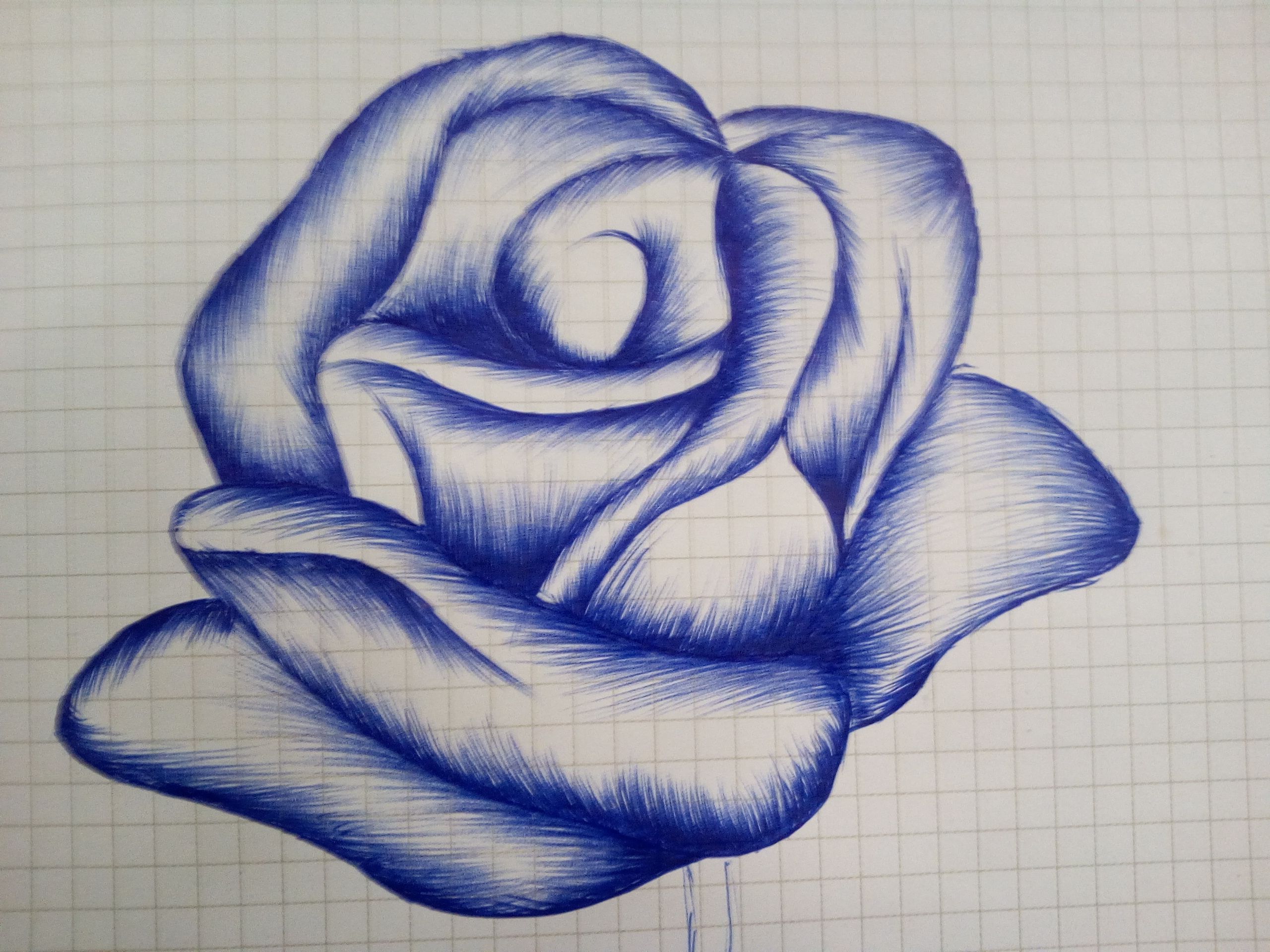 Rose Drawing Pen at GetDrawings | Free download