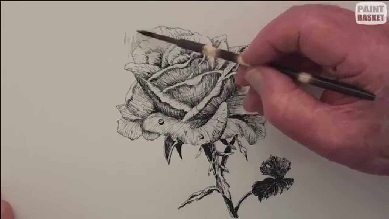 1280x720 How To Draw A Rose In Pen Amp Ink 4