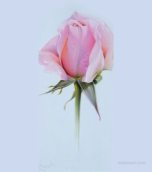 533x603 25 Beautiful Rose Drawings And Paintings For Your Inspiration
