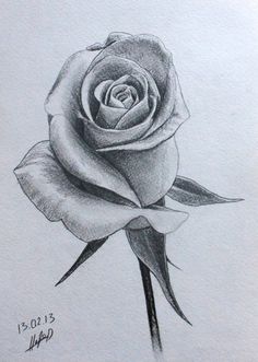 236x331 How To Draw Flowers Step By Step With Pencil