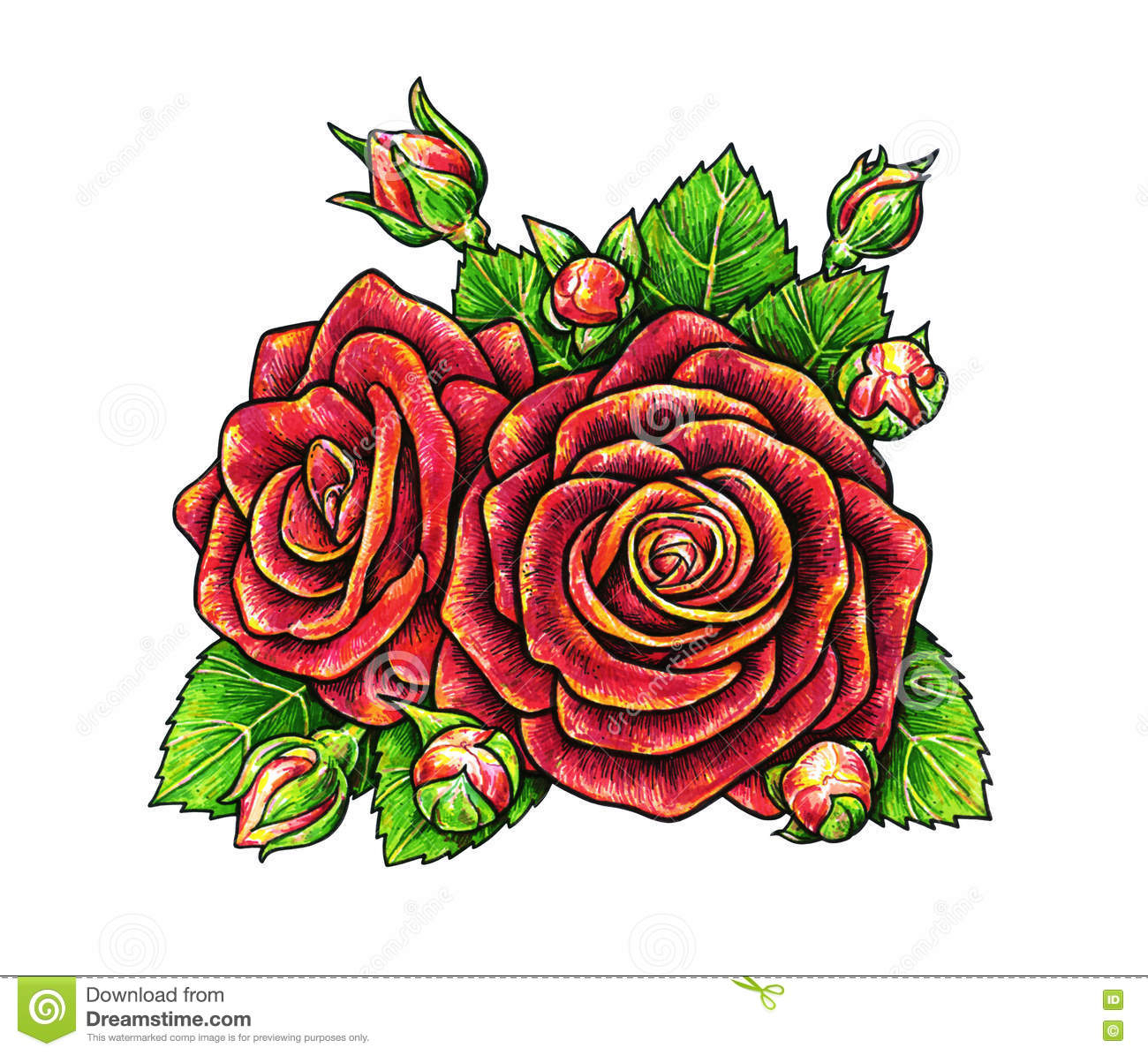1300x1195 Rose Flower Drawing Images Red Rose Flower Is On A White