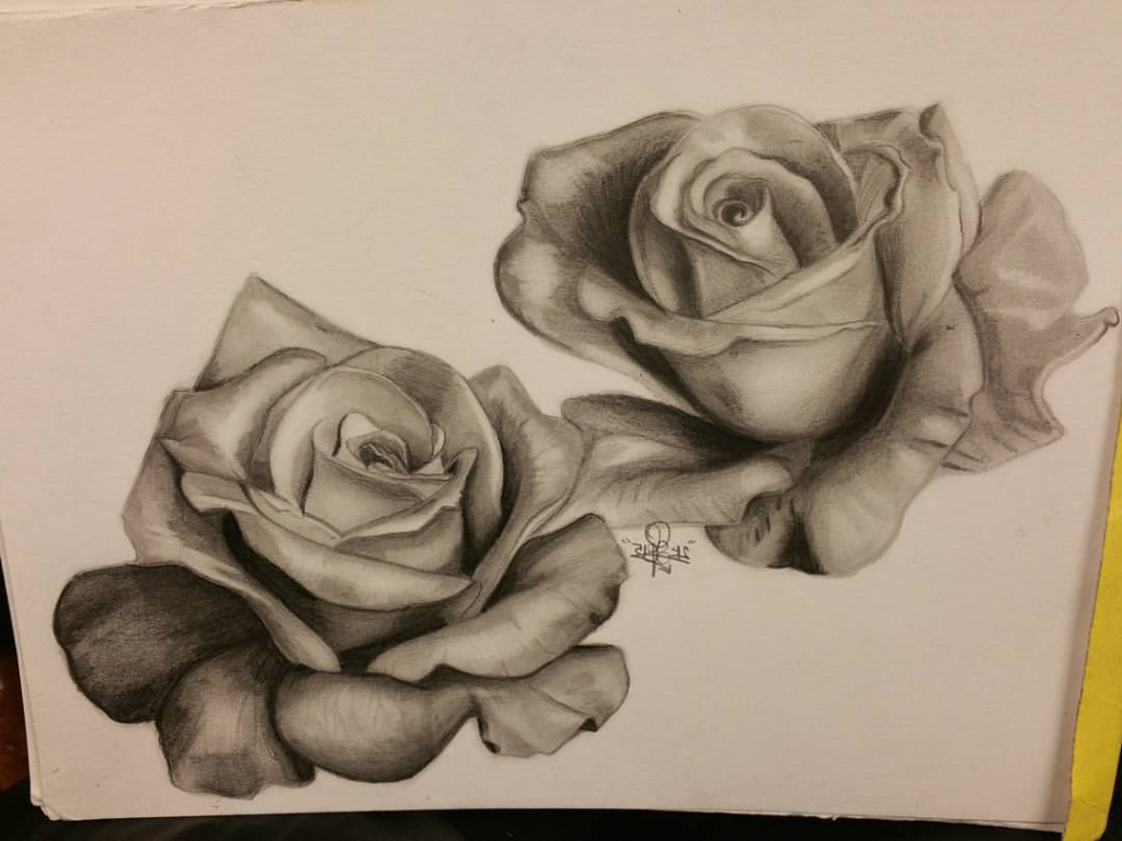 1024x768 Realistic Rose Pencil Sketches Roses Pencil Drawing Best Photos