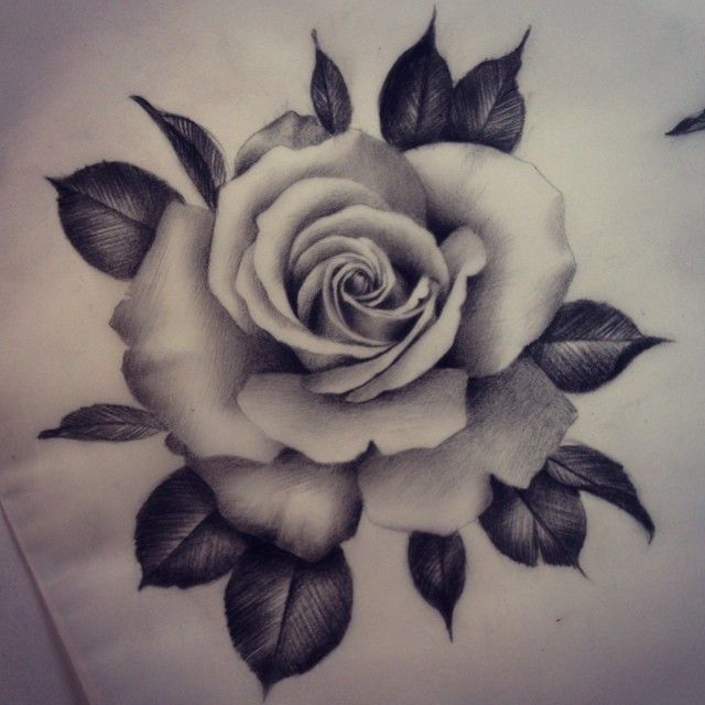 640x640 And Another One. Would Love To Tattoo Some More Realistic Roses
