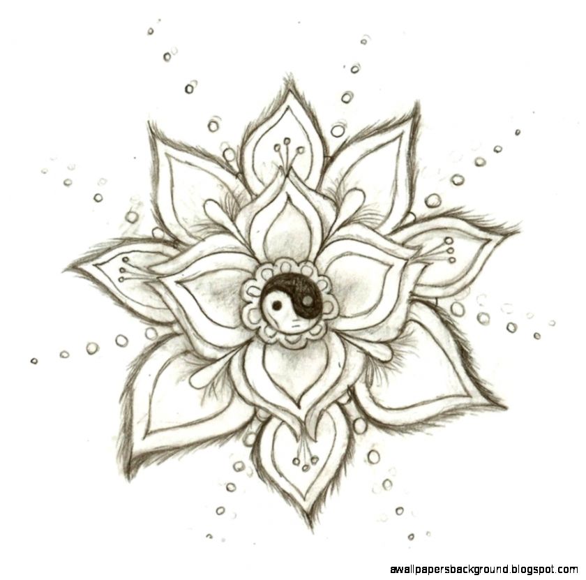 840x831 Simple Rose Drawing Tumblr Wallpapers Background