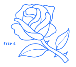 250x220 Roses Drawings Simple Line