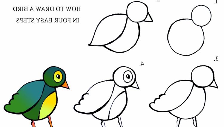 750x425 Easy Drawing Step By Step Flowers Easy Step Step Drawings Easy