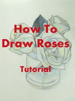 260x351 How To Draw Realistic Roses Rose Drawings And Draw