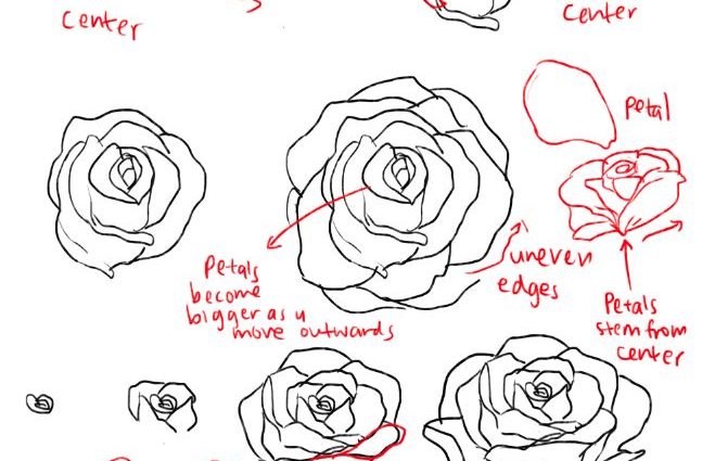 659x425 Easy Rose Drawing Tutorial 25 Trending How To Draw Roses Ideas