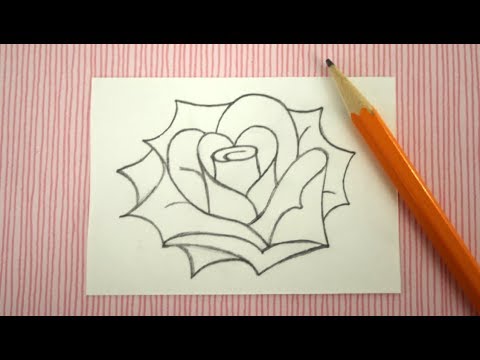 480x360 How To Draw A Rose