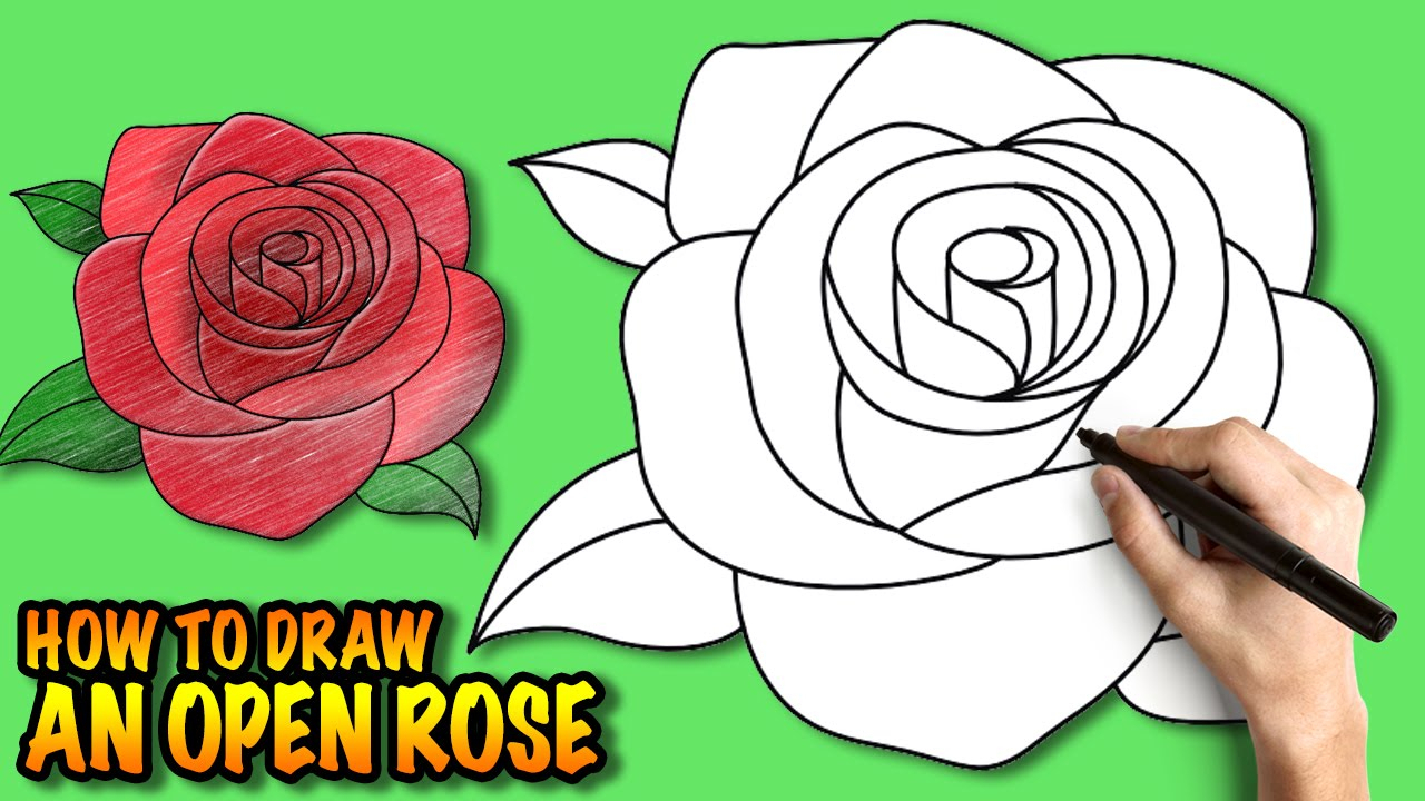 1280x720 Rose Flower Drawing Step Step How To Draw An Open Rose