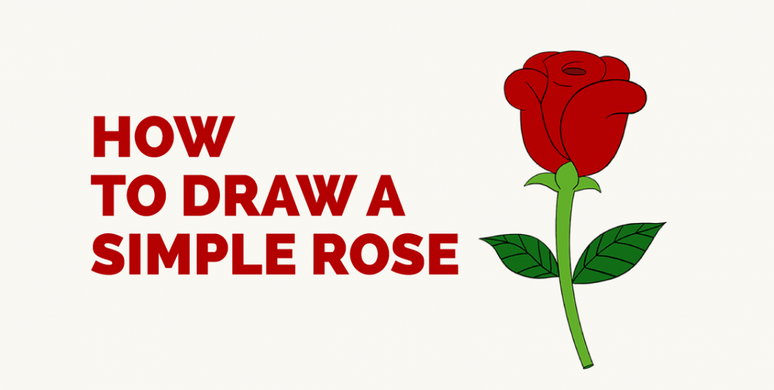 1130x570 How To Draw A Simple Rose Featured Image For Me