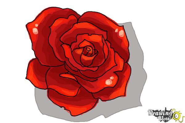 600x400 How To Draw An Open Rose
