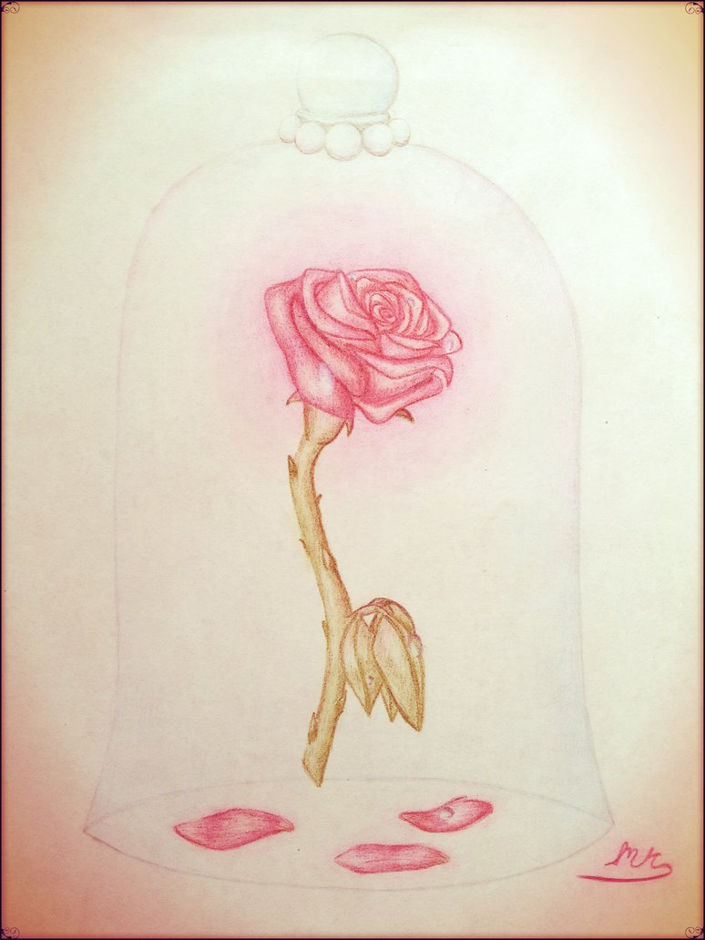 774x1032 Beauty And The Beast Rose Drawing Edited Enchanted Rose