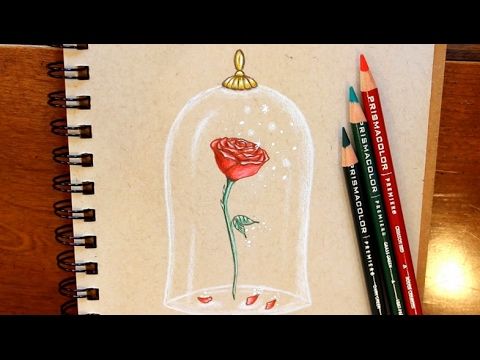 480x360 The Beauty And The Beast 1334 X 750 Px