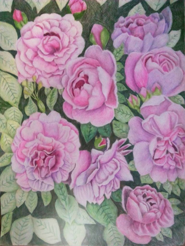 770x1027 Saatchi Art Purple Rose Garden Drawing By Sunshine Amos
