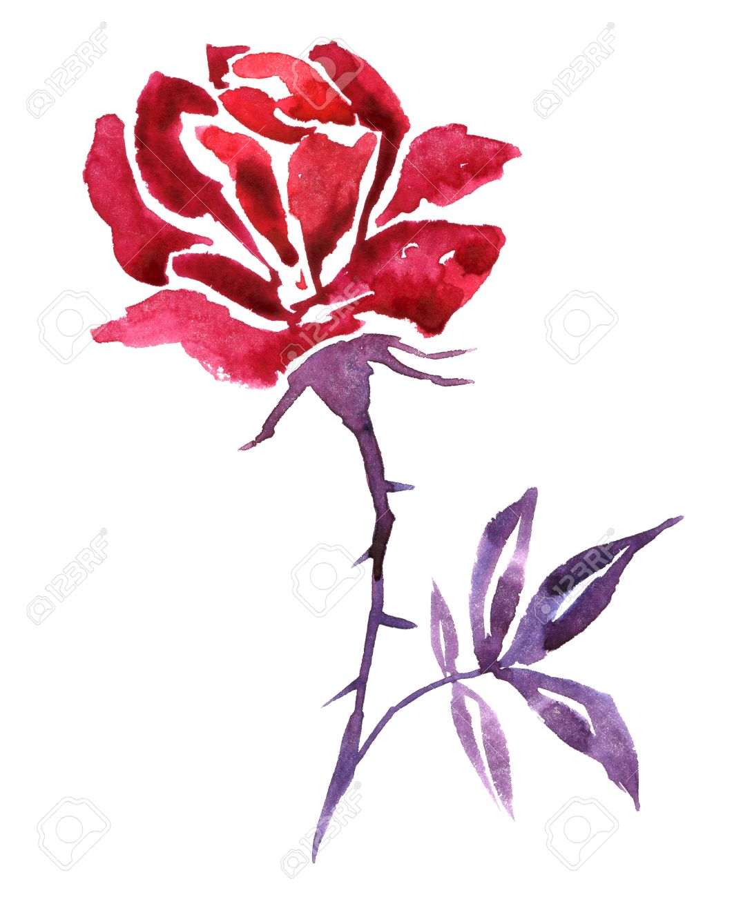 1089x1300 Red Watercolor Drawing Flower, Pink Rose, Hand Drawn Background