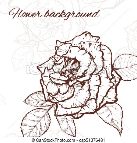 450x470 Rose Hand Drawn Illustration. Vintage Rose. Hand Drawn Vector