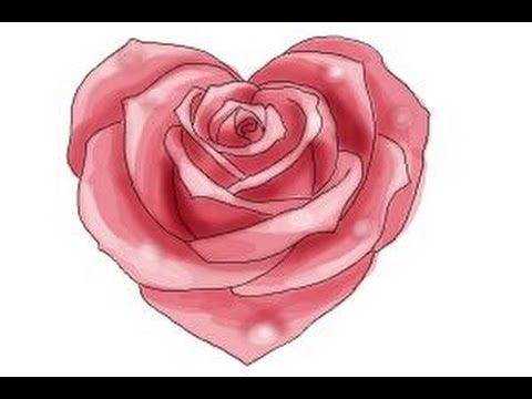 480x360 How To Draw A Heart Rose