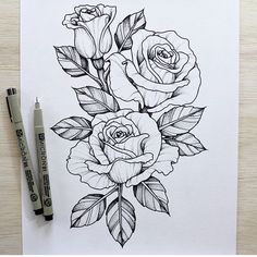 236x236 10 Rose Illustrations Rose Illustration, Rose And Illustrations