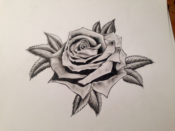 600x450 Drawings Of Roses