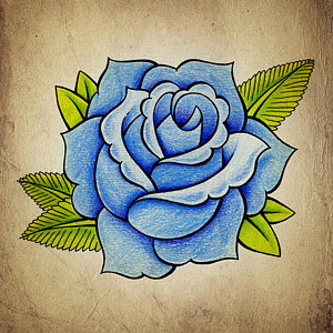 300x300 Rose Drawings Fine Art America