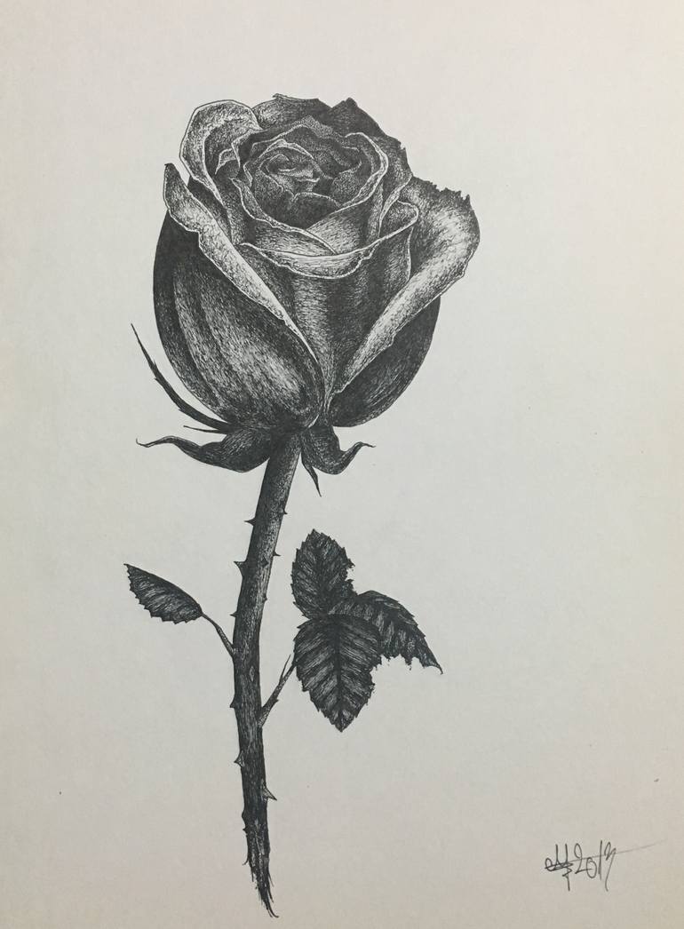 770x1046 Saatchi Art Rose Drawing By George Muscalu