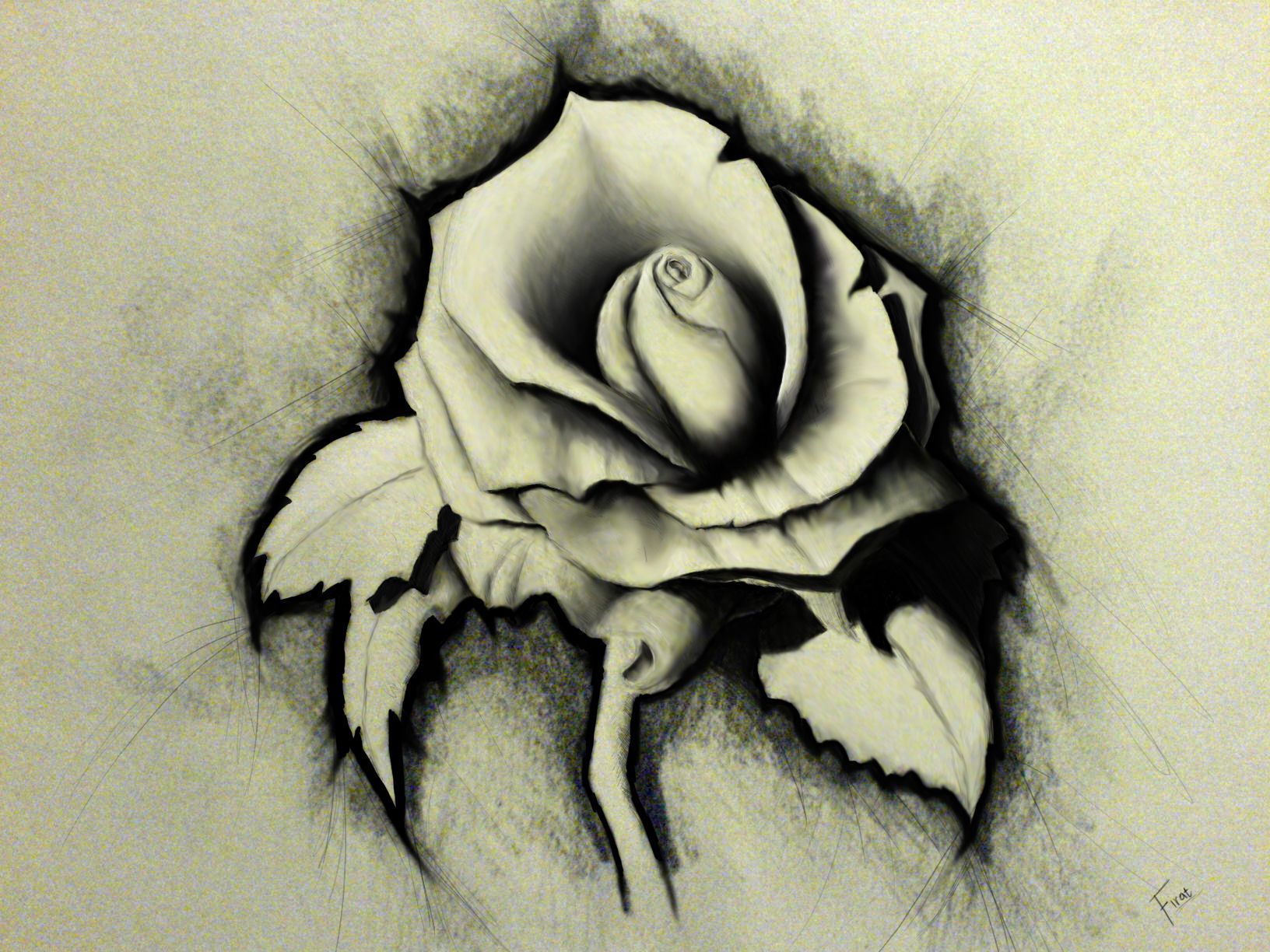 1632x1224 Rose Pencil Drawing Hd Wallpaper