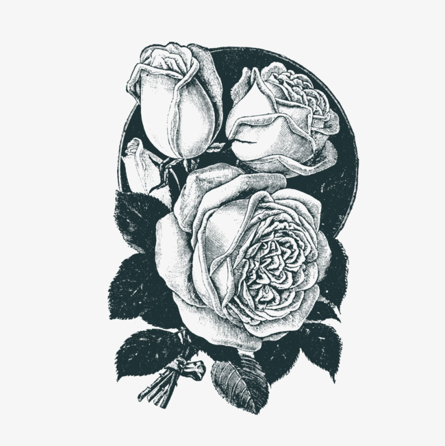 650x651 Rose Pattern, Rose, Pattern, White Png And Psd File For Free Download