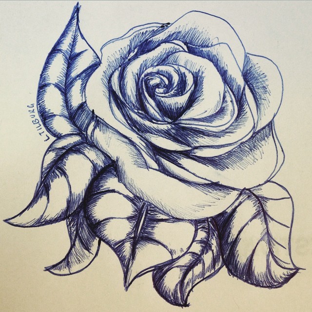 640x640 Pictures Rose Designs With Pen,