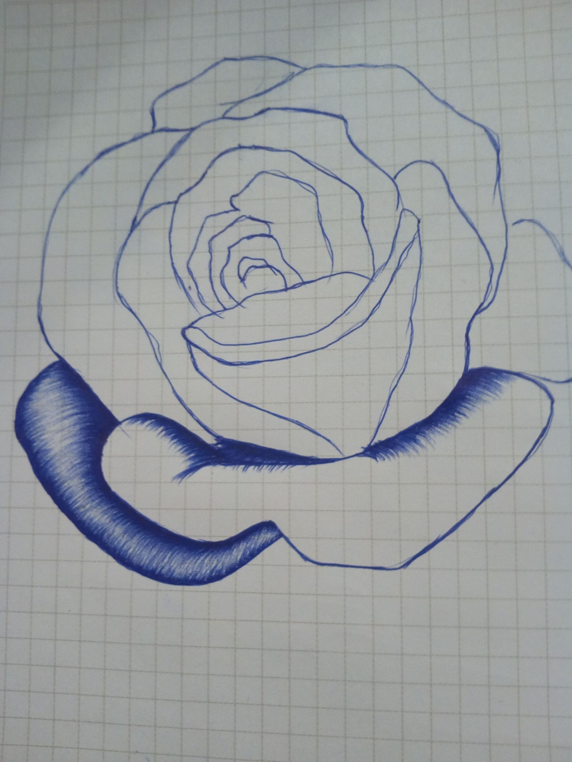 1920x2560 Rose Pen Drawing Started By Edgarsart Steemit