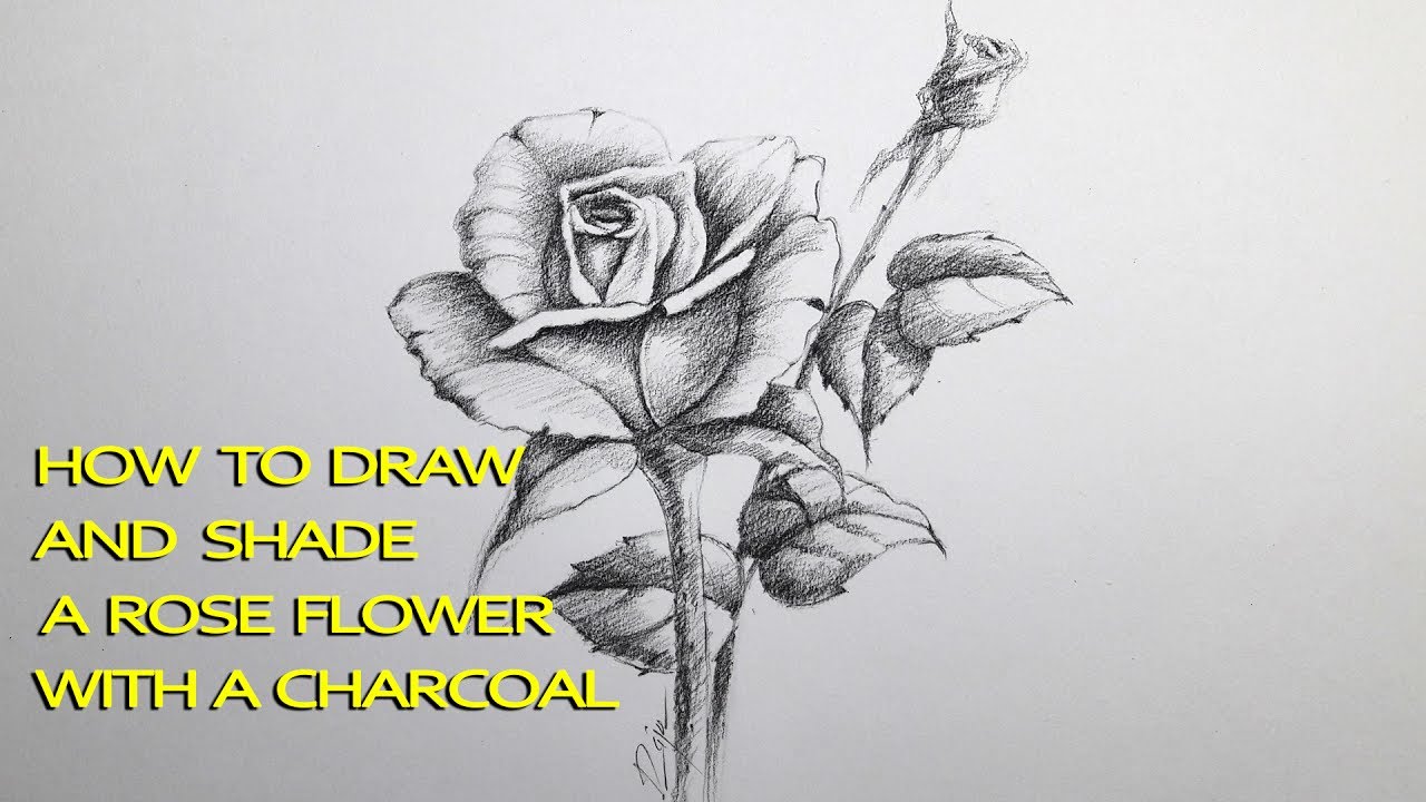 1280x720 How To Draw And Shade A Rose Flower With Charcoal Pencil Easy