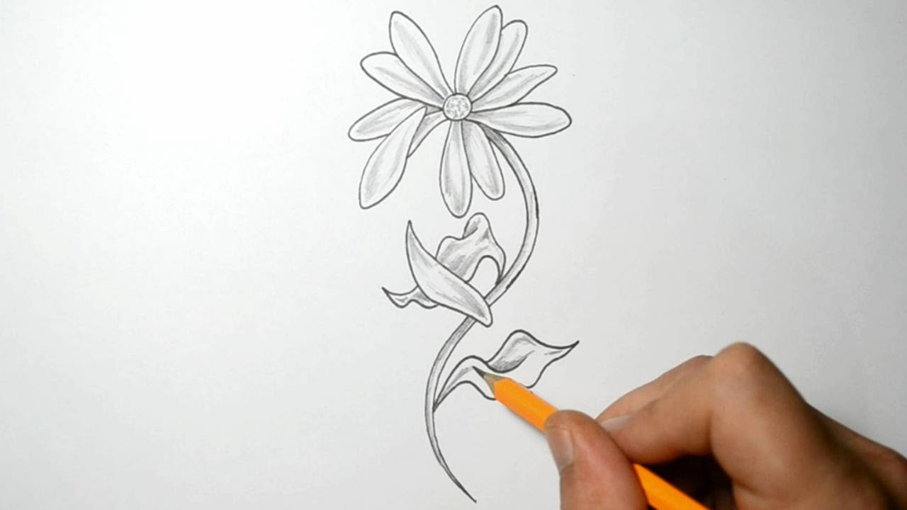 Rose Petal Drawing at GetDrawings | Free download