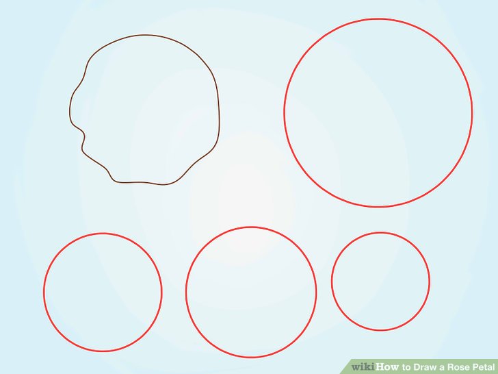 728x546 How To Draw A Rose Petal 6 Steps (With Pictures)