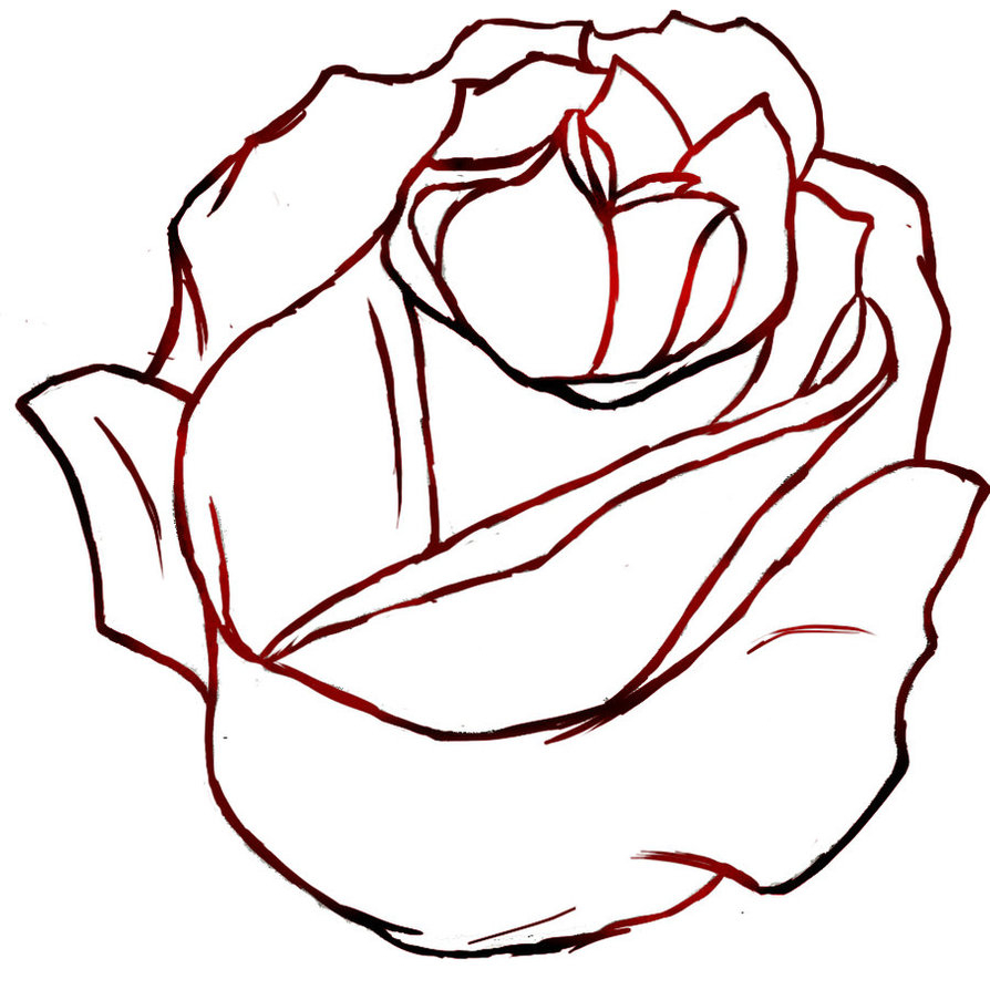 894x894 Anime Rose Drawing Knumathise Realistic Outline Images